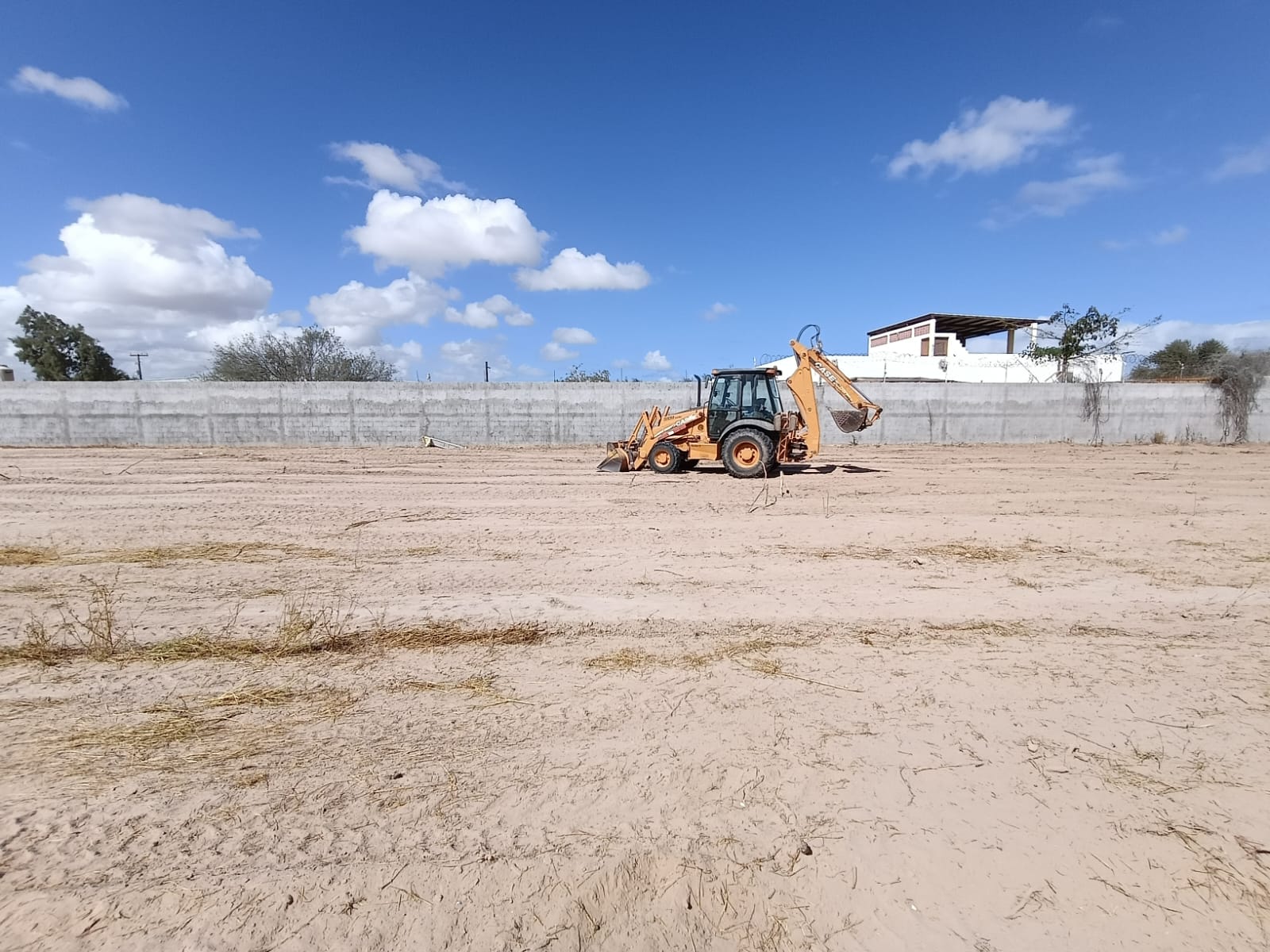 Evidencia desmonte 2