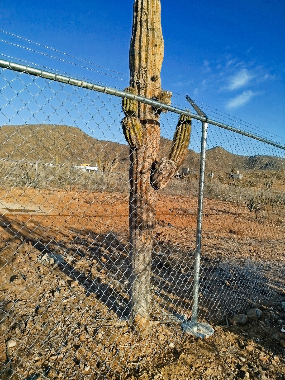 Cerco perimetral referencia 5